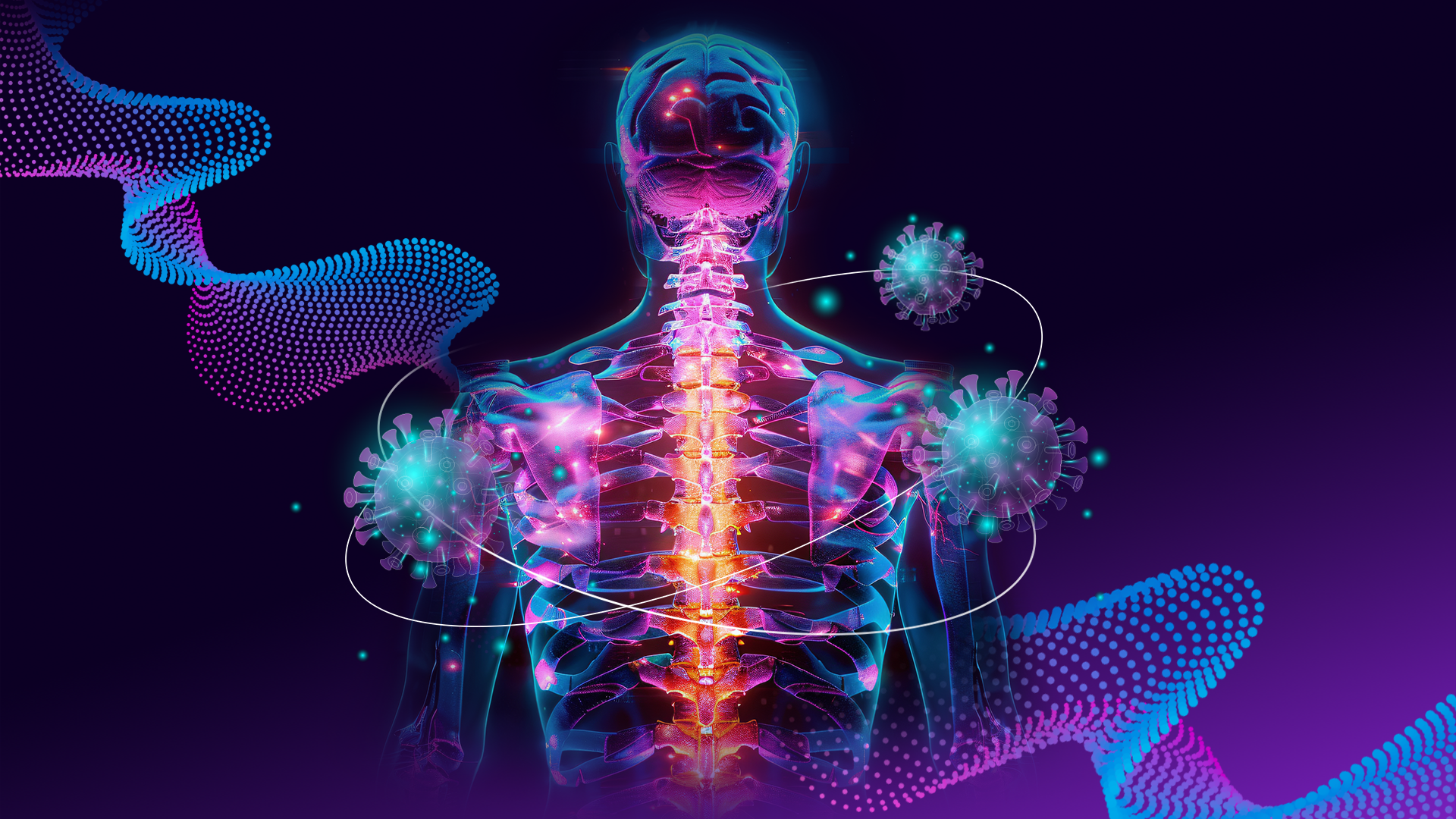 Ascending Sensory Pathways Of The Spinal Cord