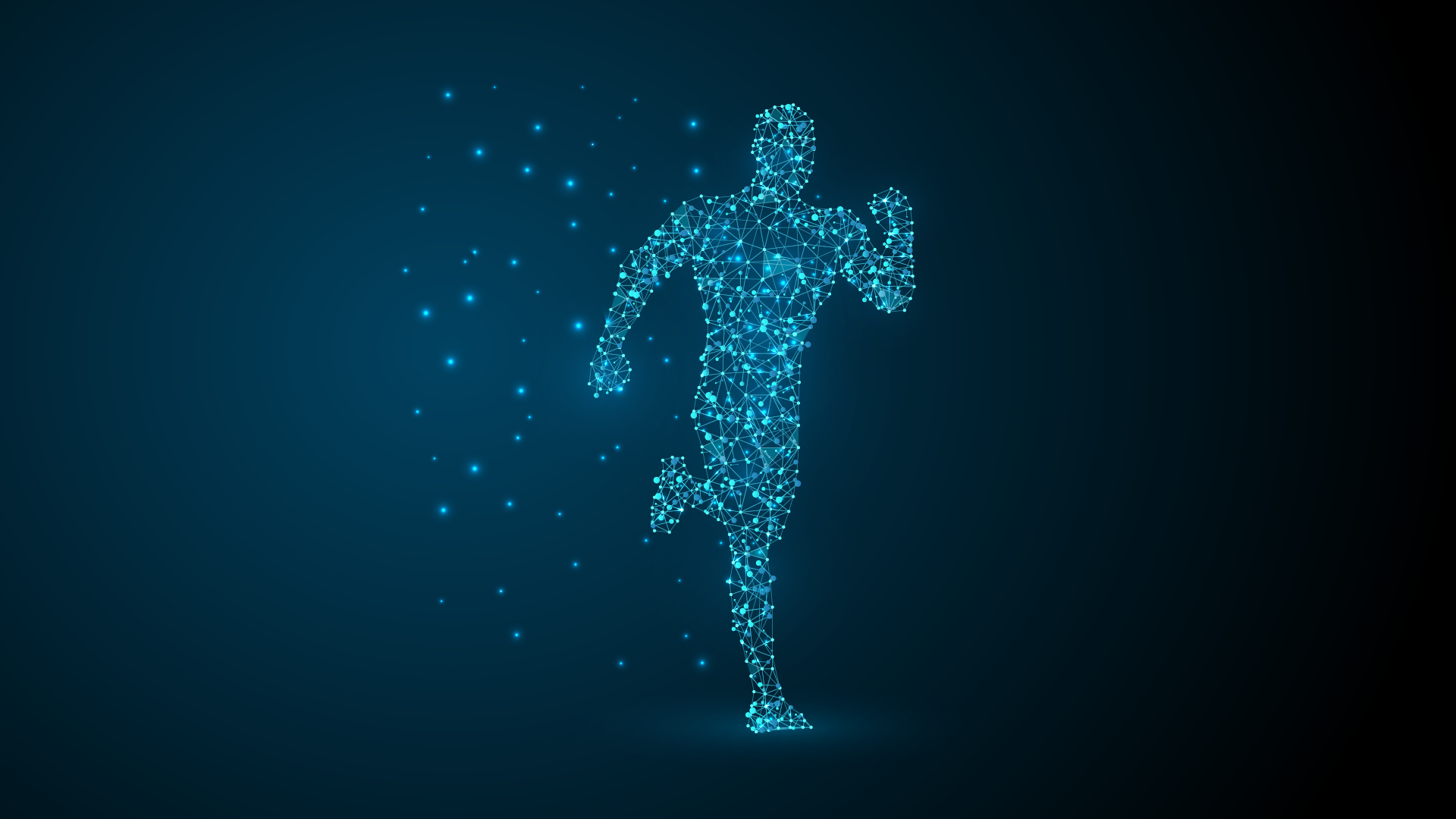 Periodization in Sports Training