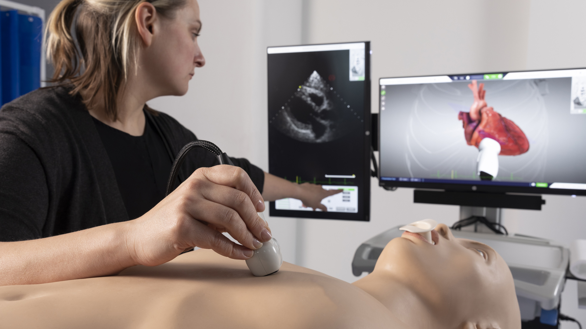 Transthoracic Echocardiography (TTE): Views and Windows