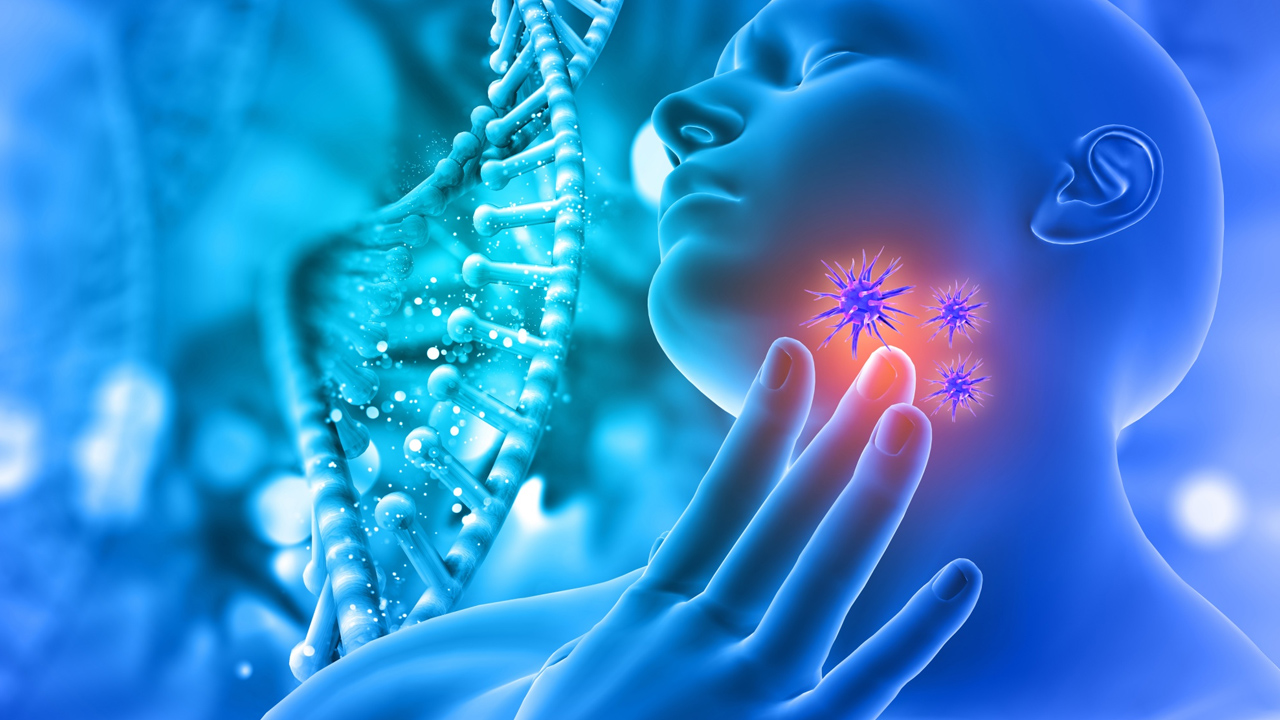 Salivary Glands Structure, Function and Clinical Relevance