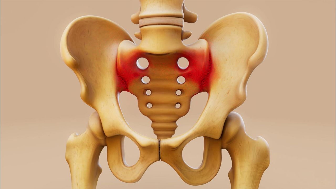 Hip Joint Complex: Assessment and Physical Therapy Management