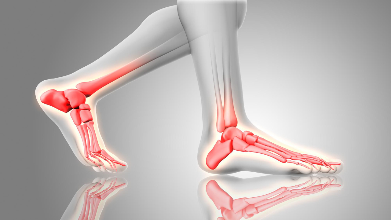 Ankle Joint Complex: Functional Anatomy, Assessment, and Clinical Understanding